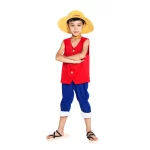 monkey d luffy costume Luffy piece costume anime monkey cosplay belt top costumes adult 2th uniform shorts generation set size hat