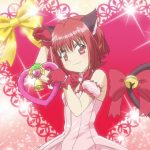 ichigo cosplay tokyo mew mew Cosplay ichigo mew tokyo fanpop yuki