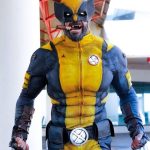 wolverine cosplay Wolverine — best of cosplay collection